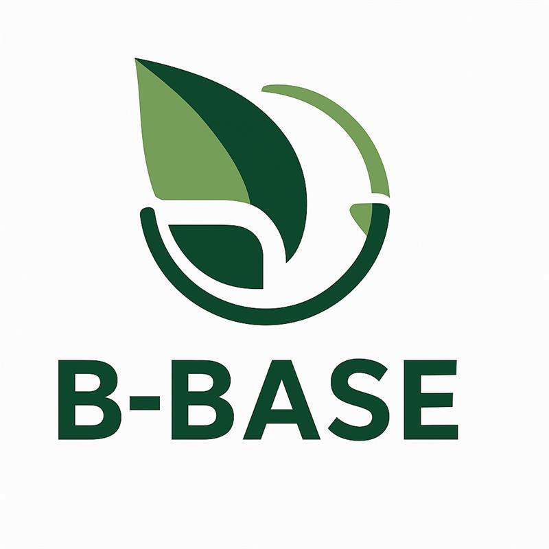 B-BASE